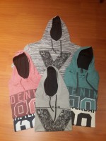 Remera moline con capucha Teo talles 1 al 5